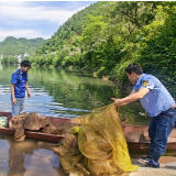 解放岩乡：清理流域地笼网 守护水域“生命线”