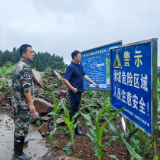 达岚镇:闻“雨”而动深排严巡 全力筑牢防汛度汛安全防线