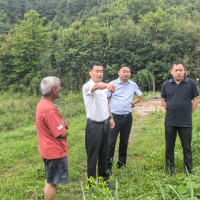 符家波督导检查防汛备汛和地质灾害防治工作