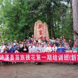 潭溪镇：苗族挑花培训激活乡土文化活力