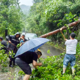洗溪镇争分夺秒开展雨后抢修 今日内力保主干道全线畅通