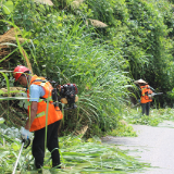 泸溪公路部门集中开展夏季公路砍青行动 优化群众通行环境