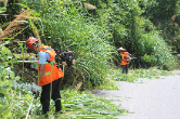 泸溪公路部门集中开展夏季公路砍青行动 优化群众通行环境