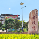 画里都岐焕新颜 农旅融合绘就乡村振兴幸福画卷