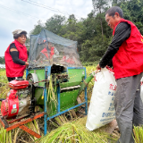 潭溪镇且己村开展秋收助农收稻活动