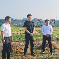 贺立调研督导秸秆禁限烧及综合利用工作
