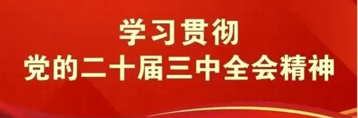 专题丨学习贯彻党的二十届三中全会精神