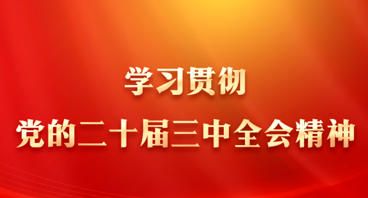 专题丨学习贯彻党的二十届三中全会精神