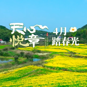 天心悦章④丨4月：踏春光