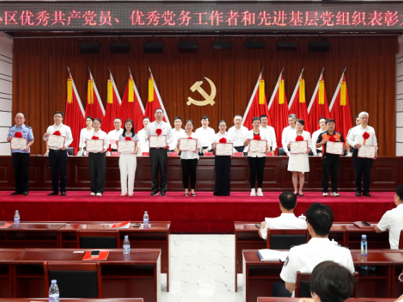 天心区“两优一先”表彰大会召开