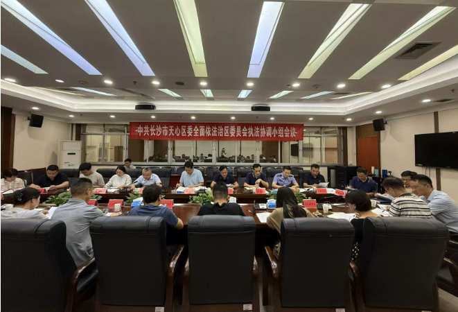 天心区委依法治区委员会执法协调小组工作会议召开 推动规范涉企执法专项行动开展