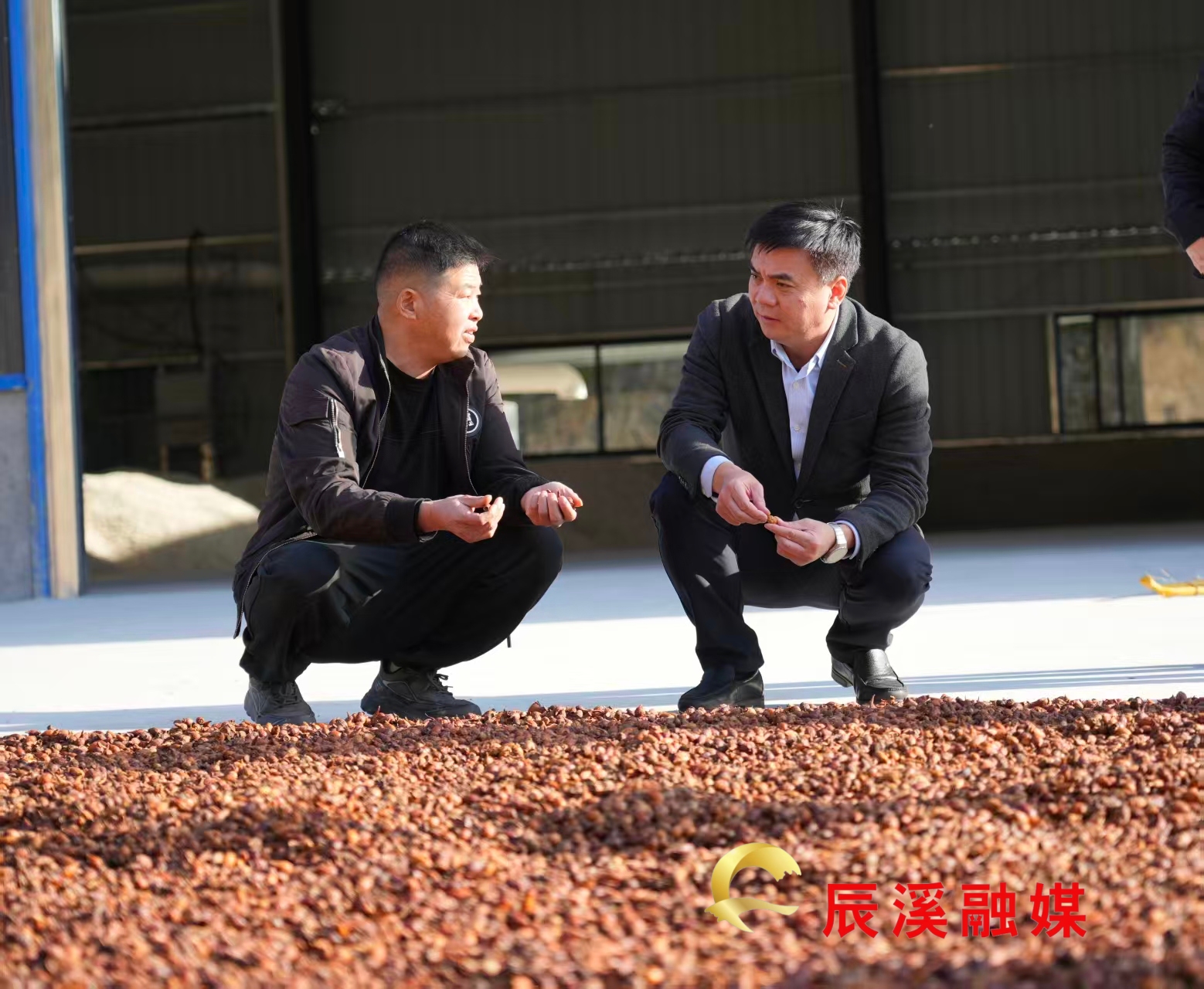 微信图片_20251127215334_86_12_副本.jpg 微信图片_20251127215334_86_12_副本.jpg