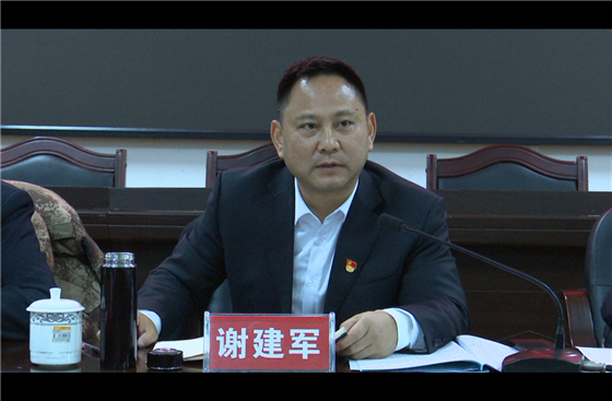 时政要闻 正文县委副书记,县长谢建军参加政协联组讨论 红网辰溪站1月