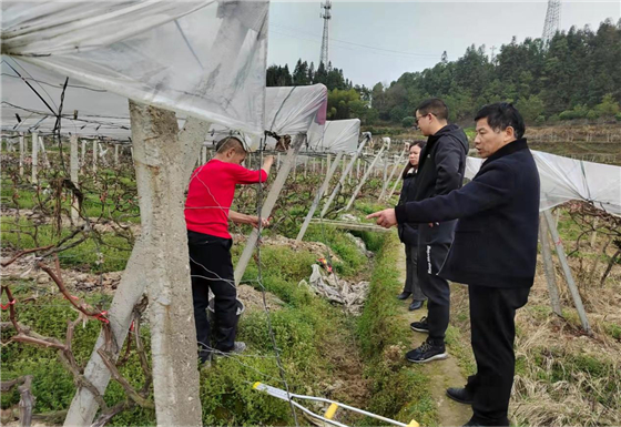 图片19.jpg 图片19.jpg