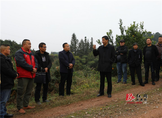 县委常委,县委办主任张万旭主持讲座