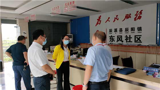 杨健桃督导辰阳镇县乡人大代表换届选举工作