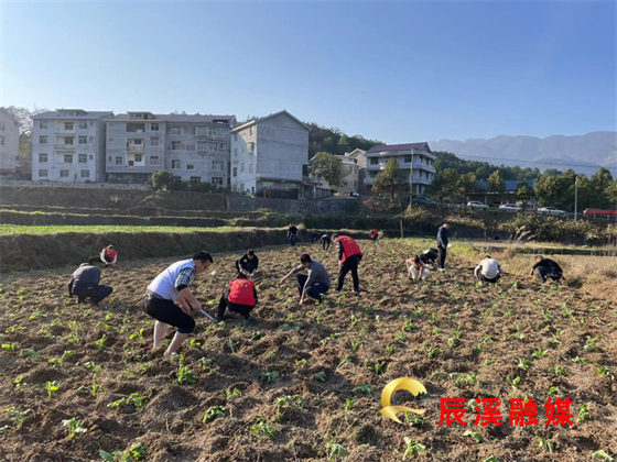 托马斯回旋
