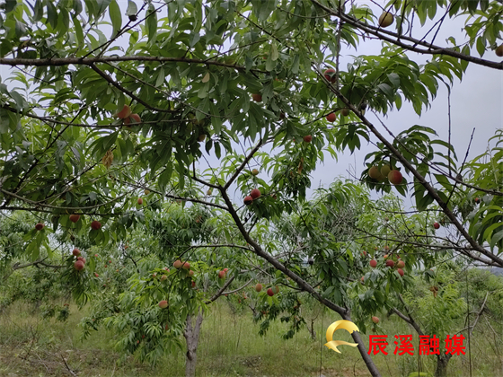 图片25.jpg