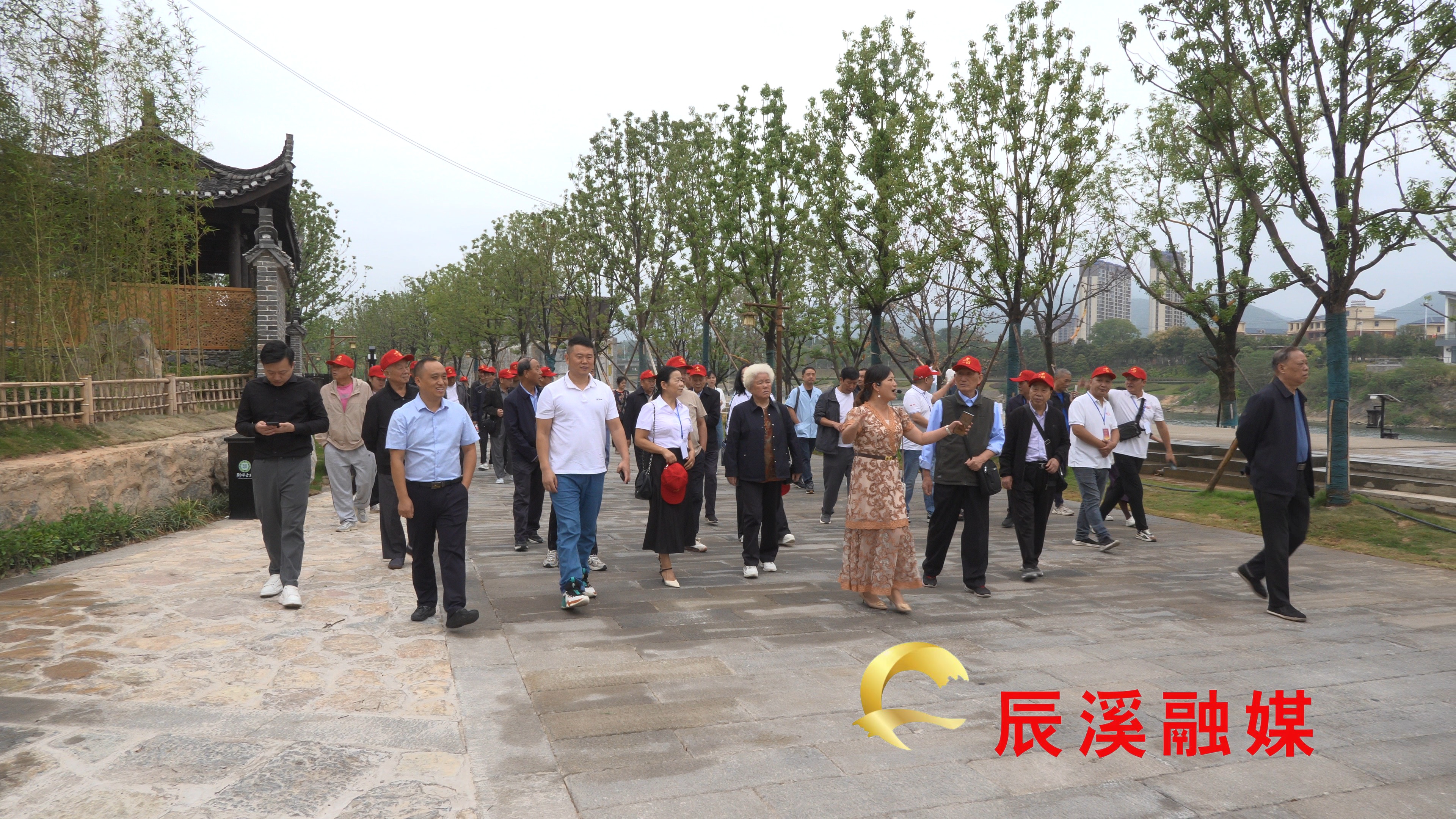 图片1(1) (1).jpg