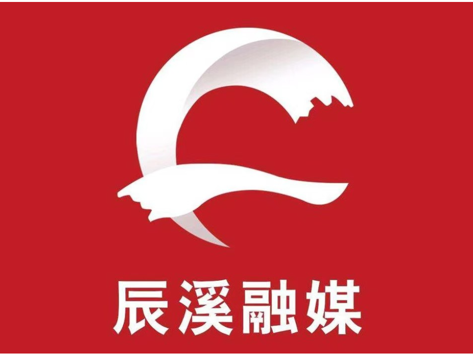 辰溪县社会组织妇联成立暨第一次妇女代表大会召开