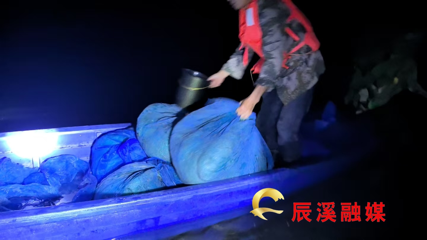 图片1(1) (1).jpg