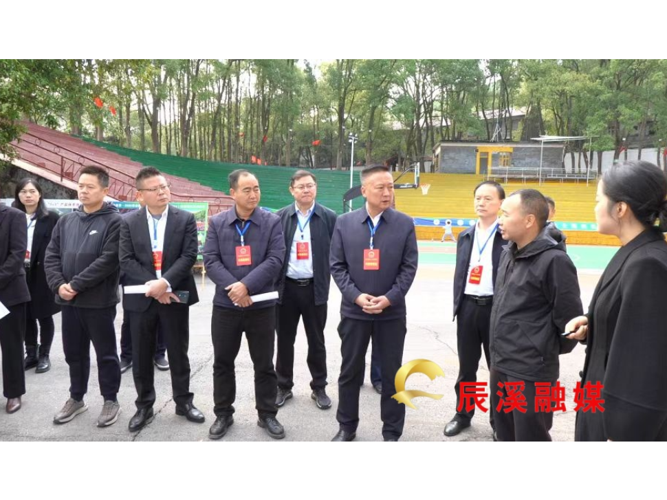 县人大常委会开展2025年度省、市、县人大代表集中视察活动