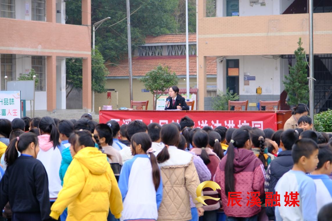 图片1 (1).jpg 图片1 (1).jpg