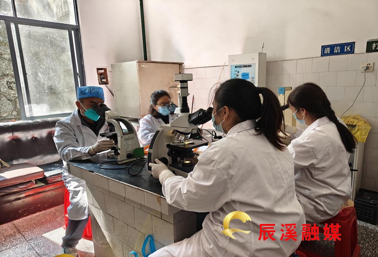 图片1(1) (1).jpg 图片1(1) (1).jpg