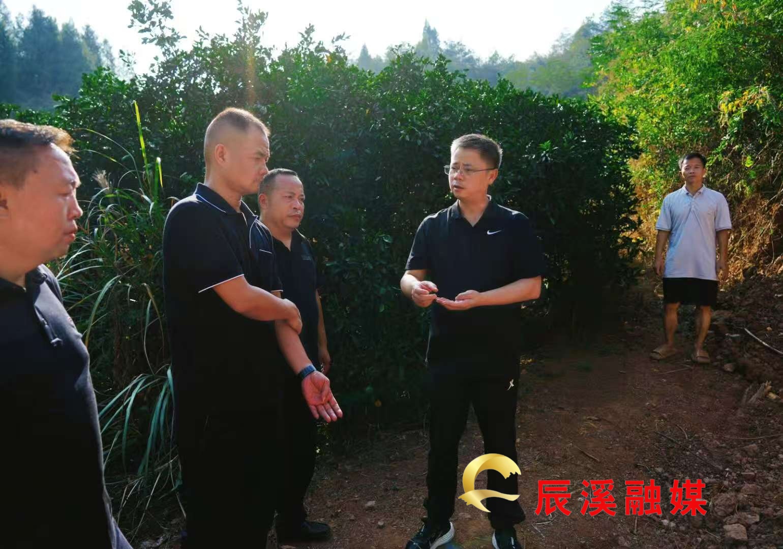微信图片_20251005230304_5036_176 (1).jpg