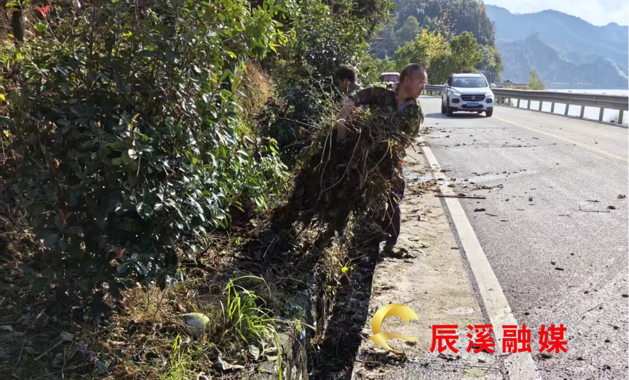 图片1(1) (1).jpg 图片1(1) (1).jpg