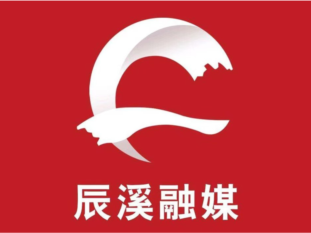 聚焦两会  辰溪县第十七届人民代表大会第五次会议人大代表报到