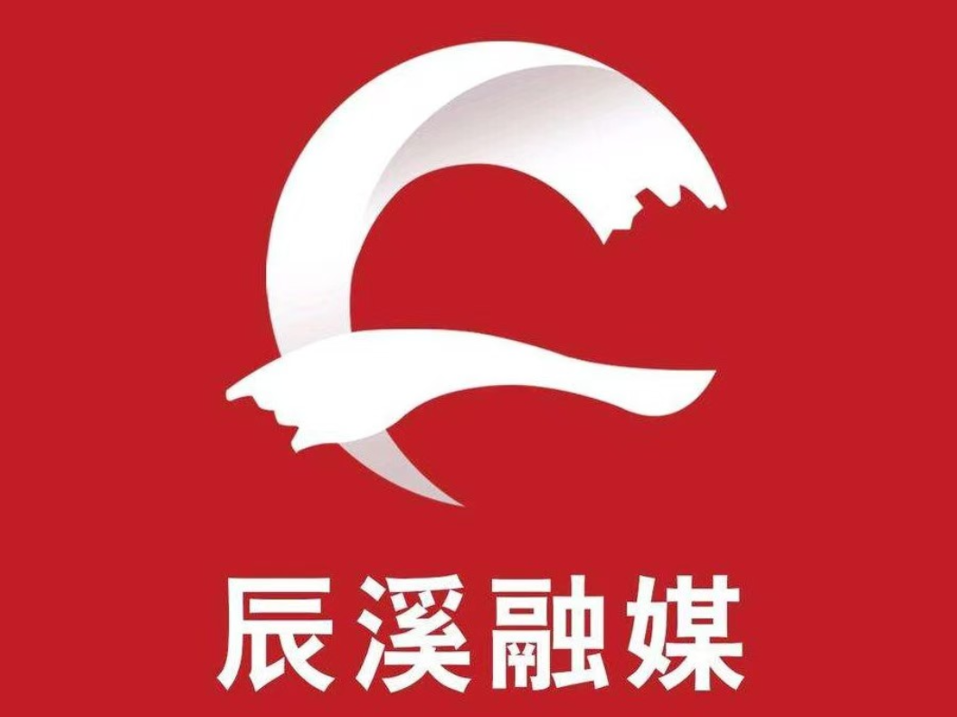    中国共产党辰溪县第十三届委员会第十一次全体会议决议