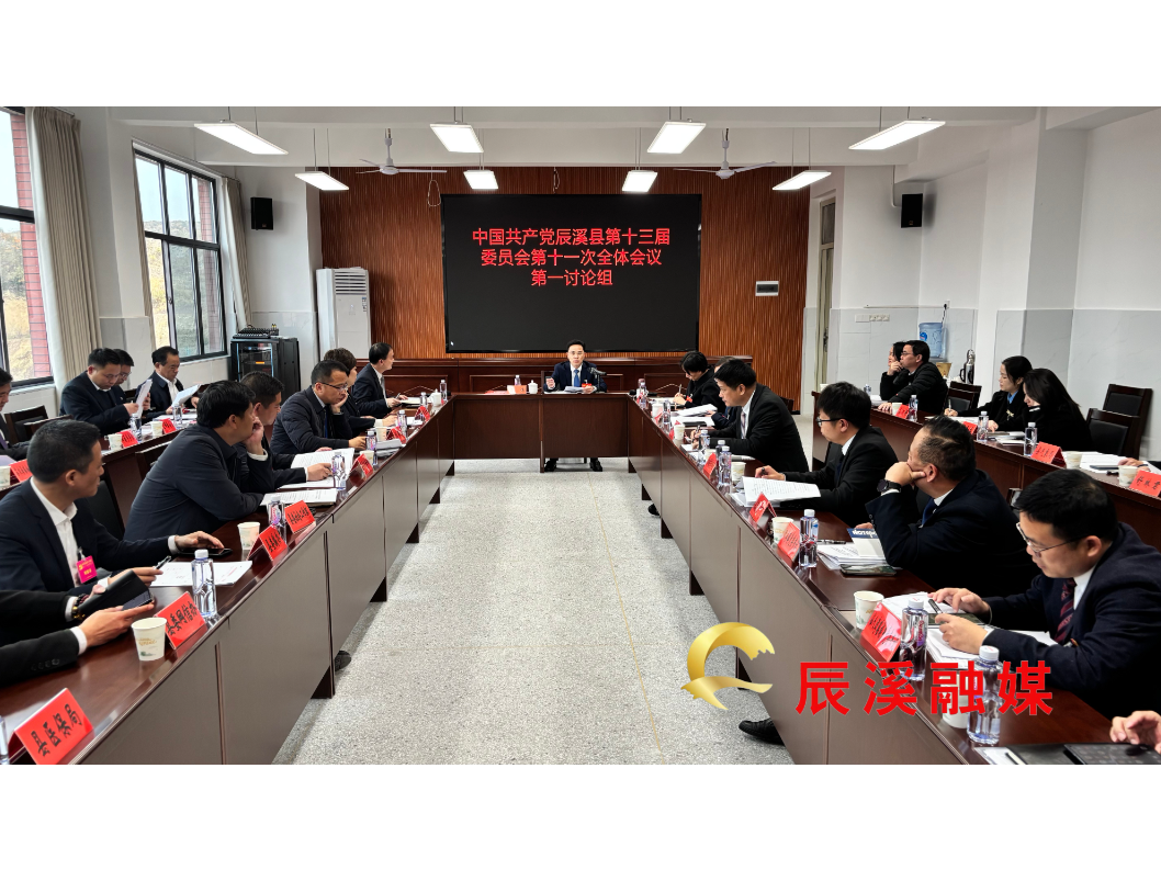 凝聚共识谋发展 锚定目标勇担当  中国共产党辰溪县第十三届委员会第十一次全体会议开展分组讨论