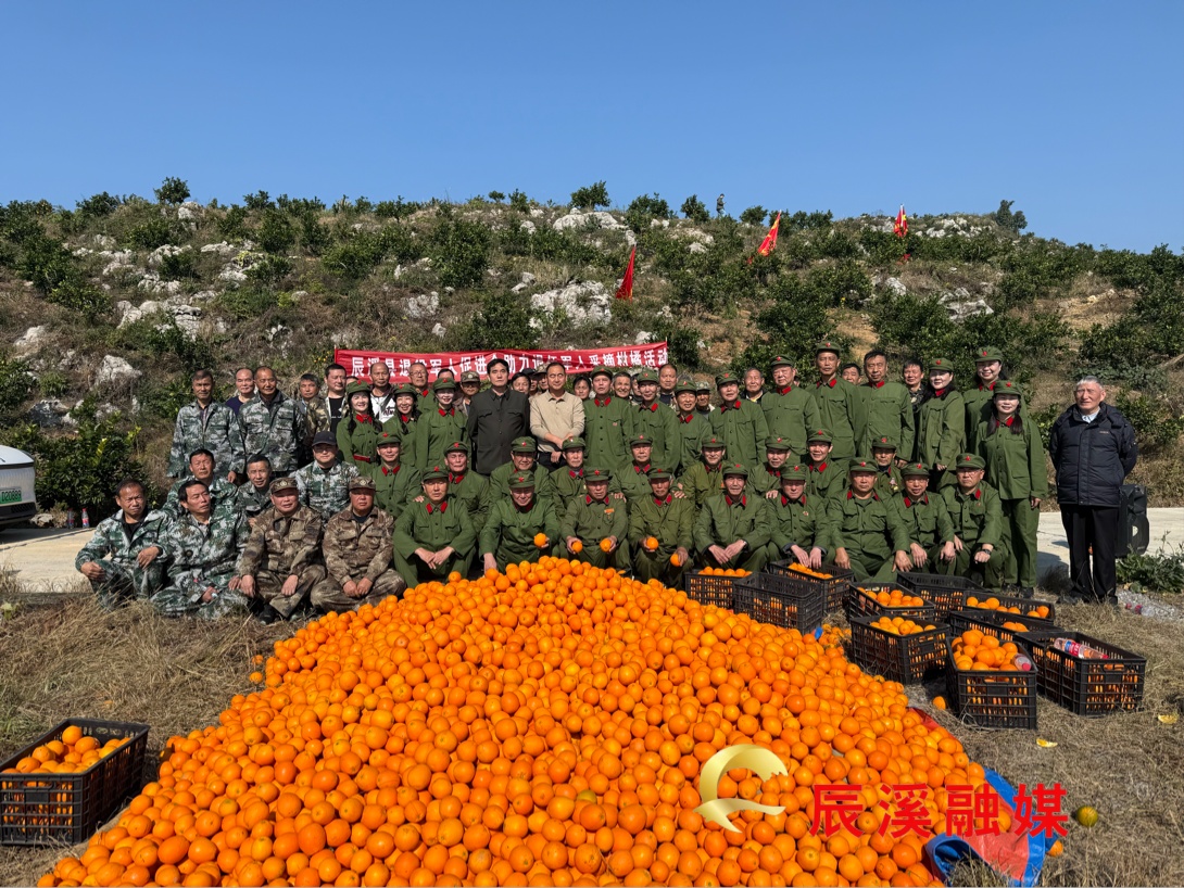 图片1.jpg 图片1.jpg