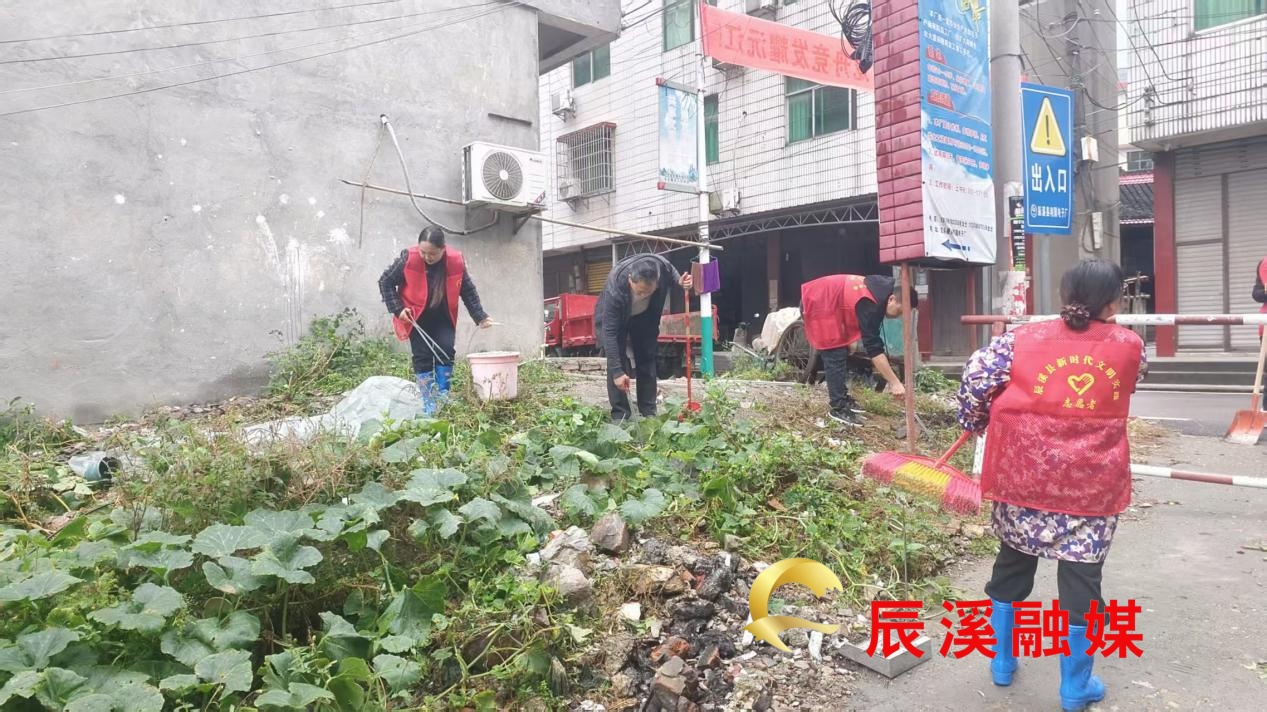 图片3.jpg 图片3.jpg