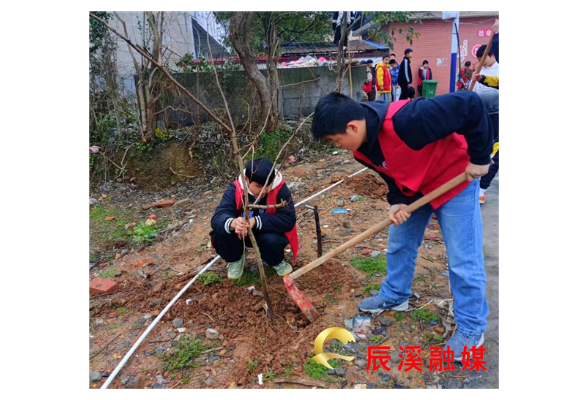 辰溪县中小学开展植树节活动