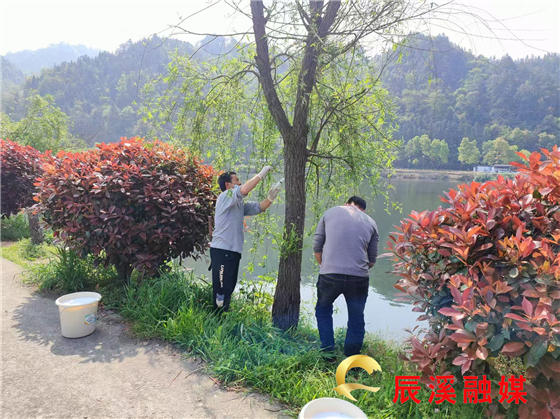 图片1.jpg
