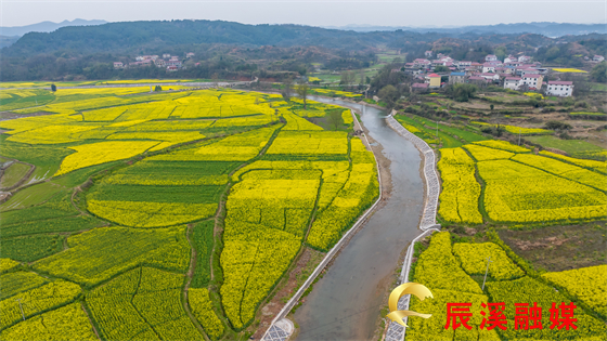 图片1_副本.jpg