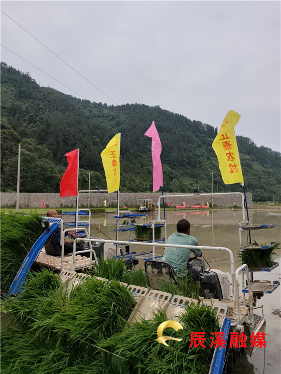 微信图片_20250611130327.jpg