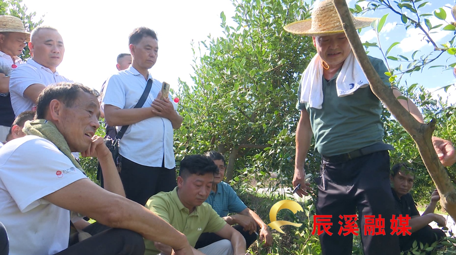 图片1.jpg