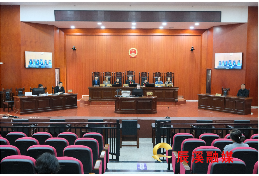 以司法之力守护绿水青山——辰溪法院审结一起生态破坏民事公益诉讼纠纷案件