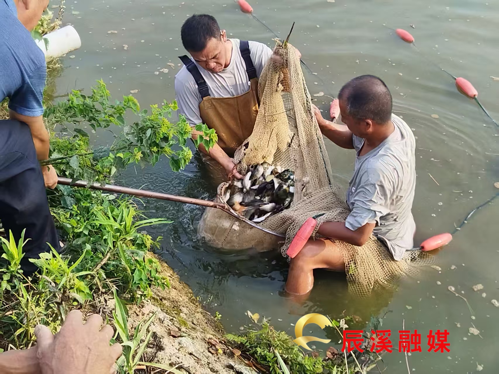 图片1_1.jpg