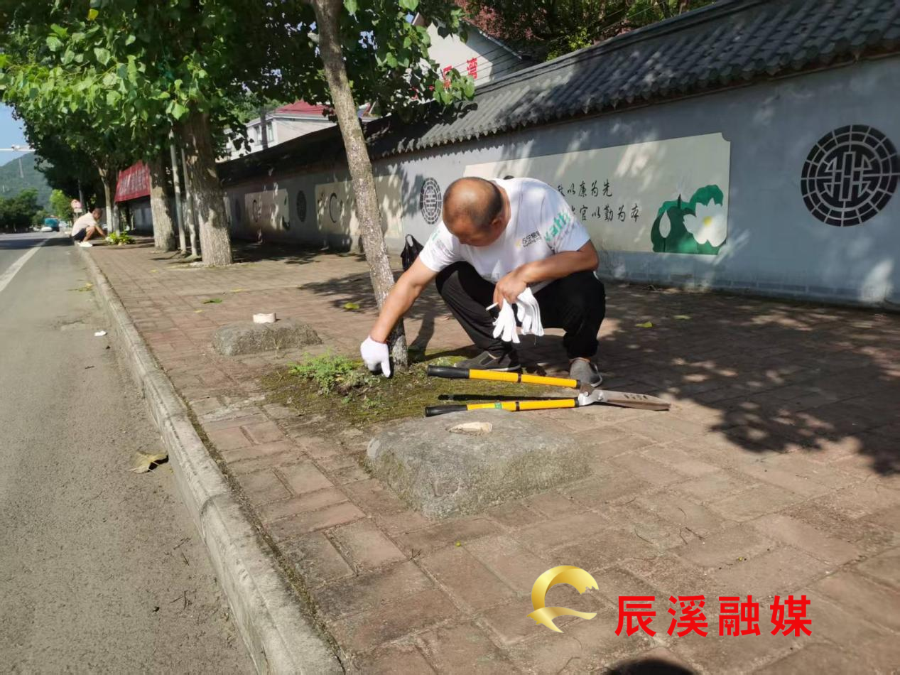 图片1_1.png