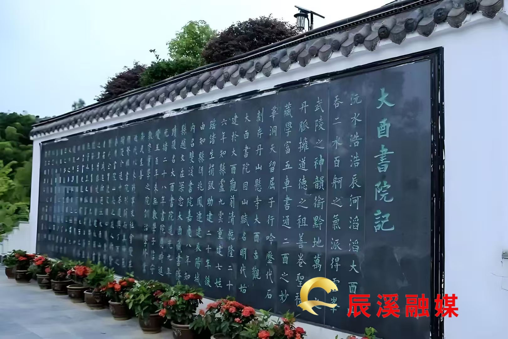 微信图片_20250702101128_62.jpg