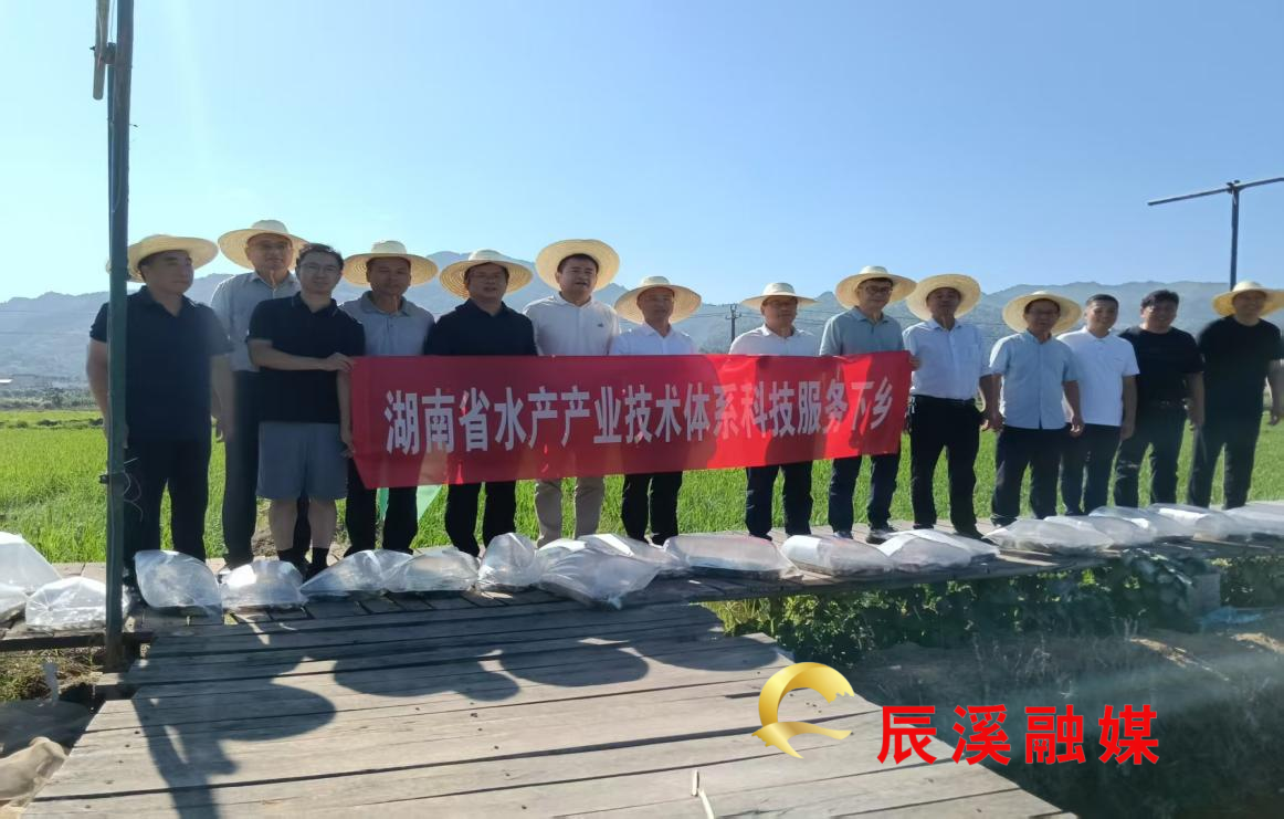 图片1_1.png