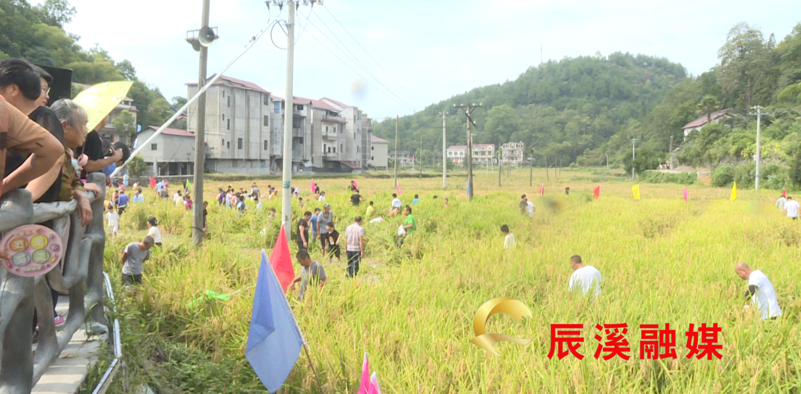 微信图片_20250914092653_104_140 (1).png