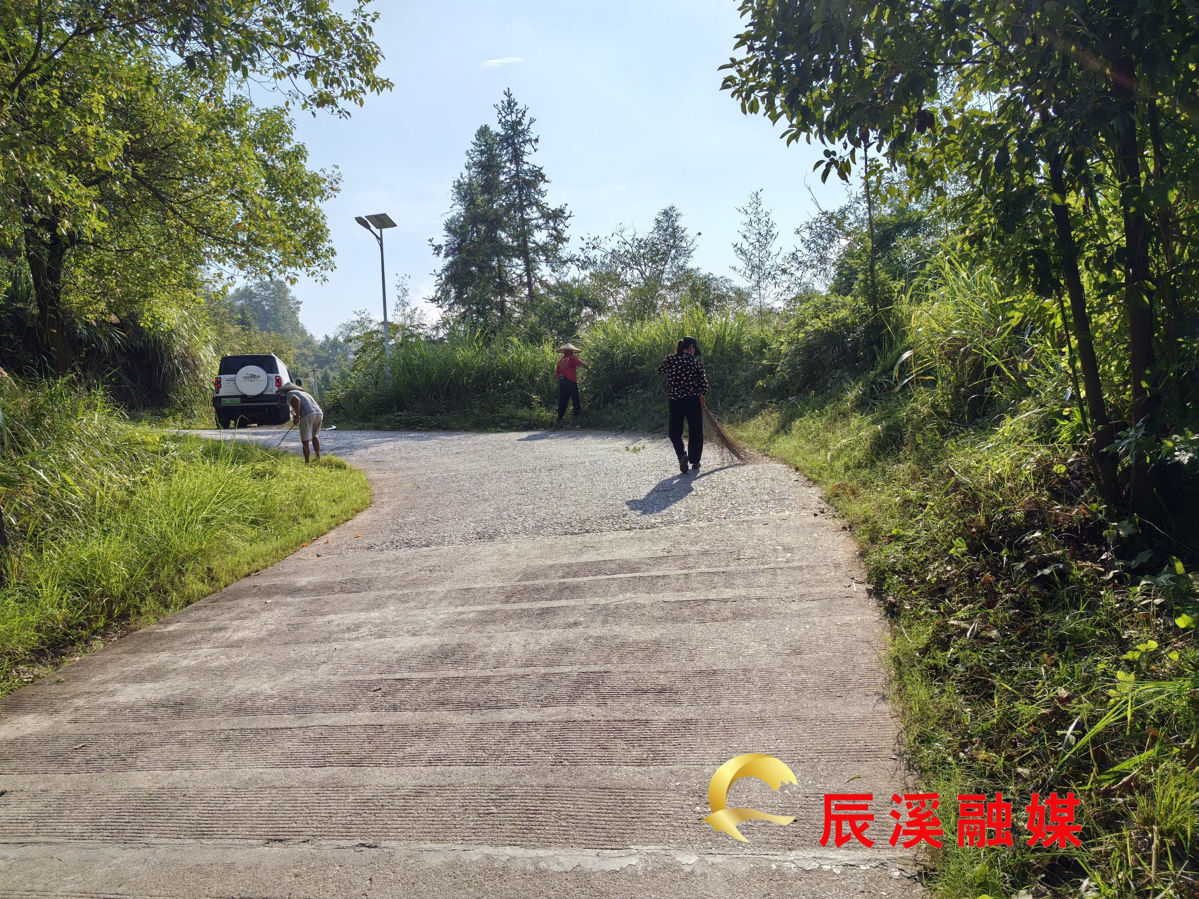 图片1 (1).jpg