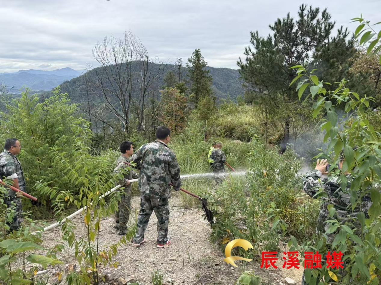 图片2 (1).jpg