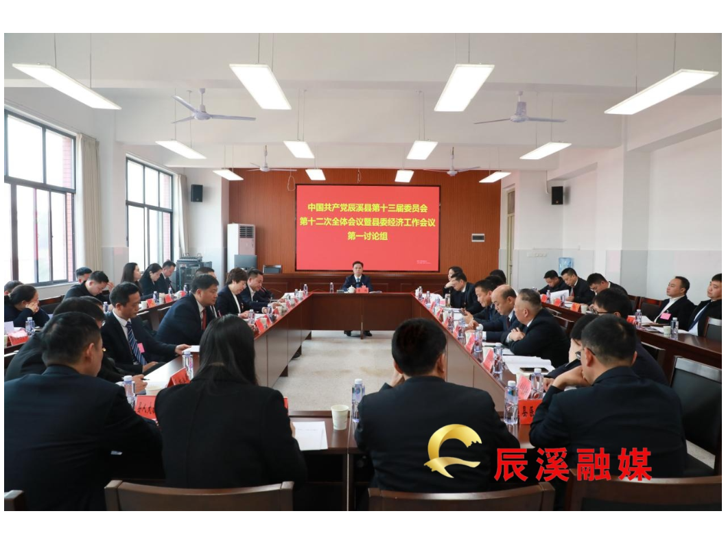 中国共产党辰溪县第十三届委员会第十二次全体会议暨县委经济工作会议开展分组讨论
