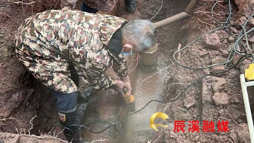 图片1.jpg 图片1.jpg